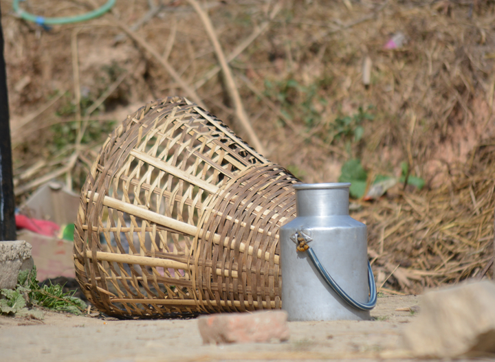 "My experience of planting bamboo in Nepal for the Grow Bamboo Initiative" by Apsana Kafle