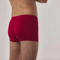 FLOW Bamboa Men's Bamboo Briefs