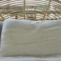 Bamboo Pillow - Bamboo Inside & Out Collection