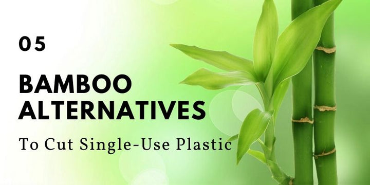 5 Bamboo Alternatives To Cut Single-Use Plastic