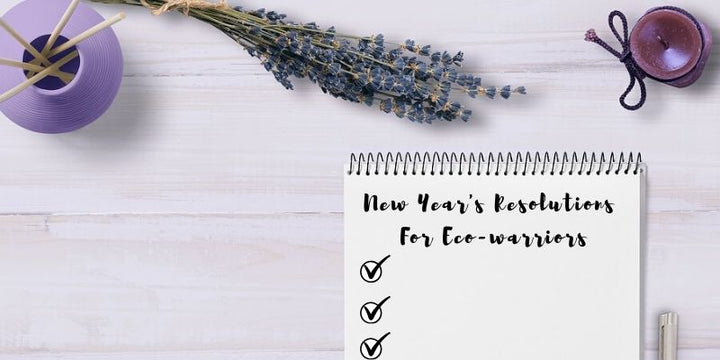 New Year's Resolutions For Eco-warriors