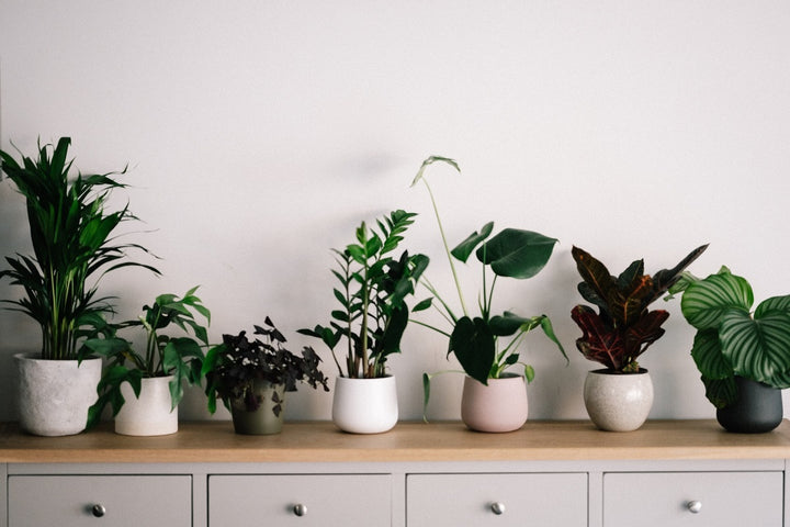 "How to reduce your carbon footprint in your home" by Localiiz x Bamboa