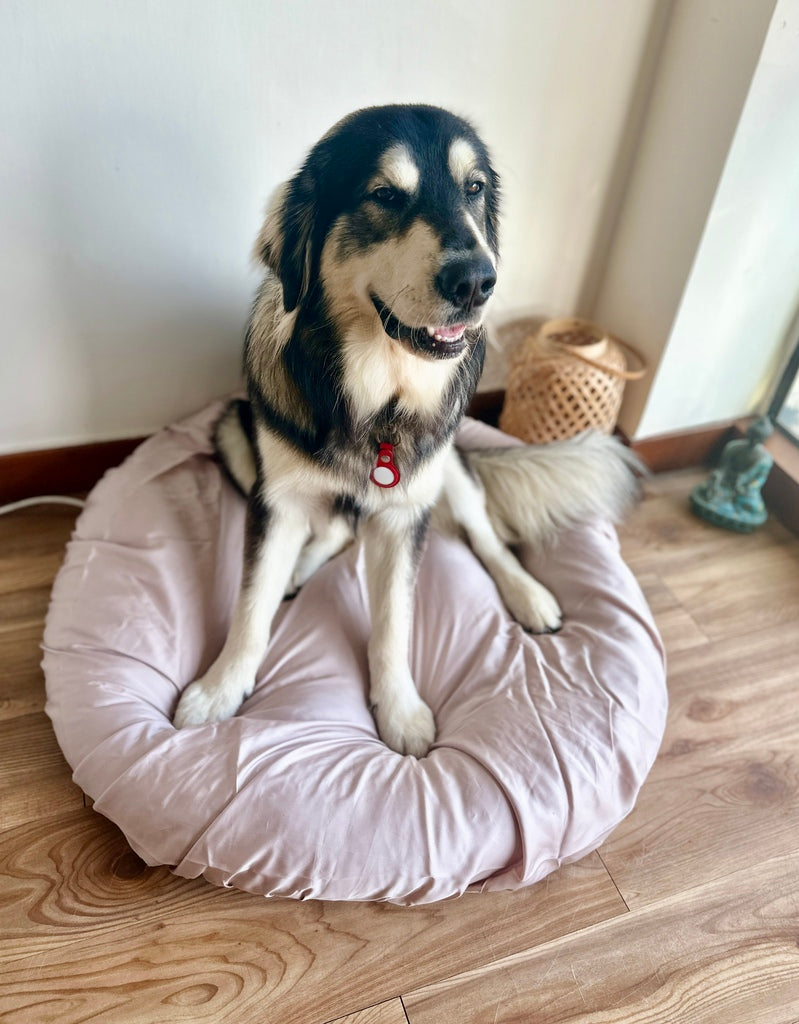 Dog bedding - Bamboo lyocell fitted sheet