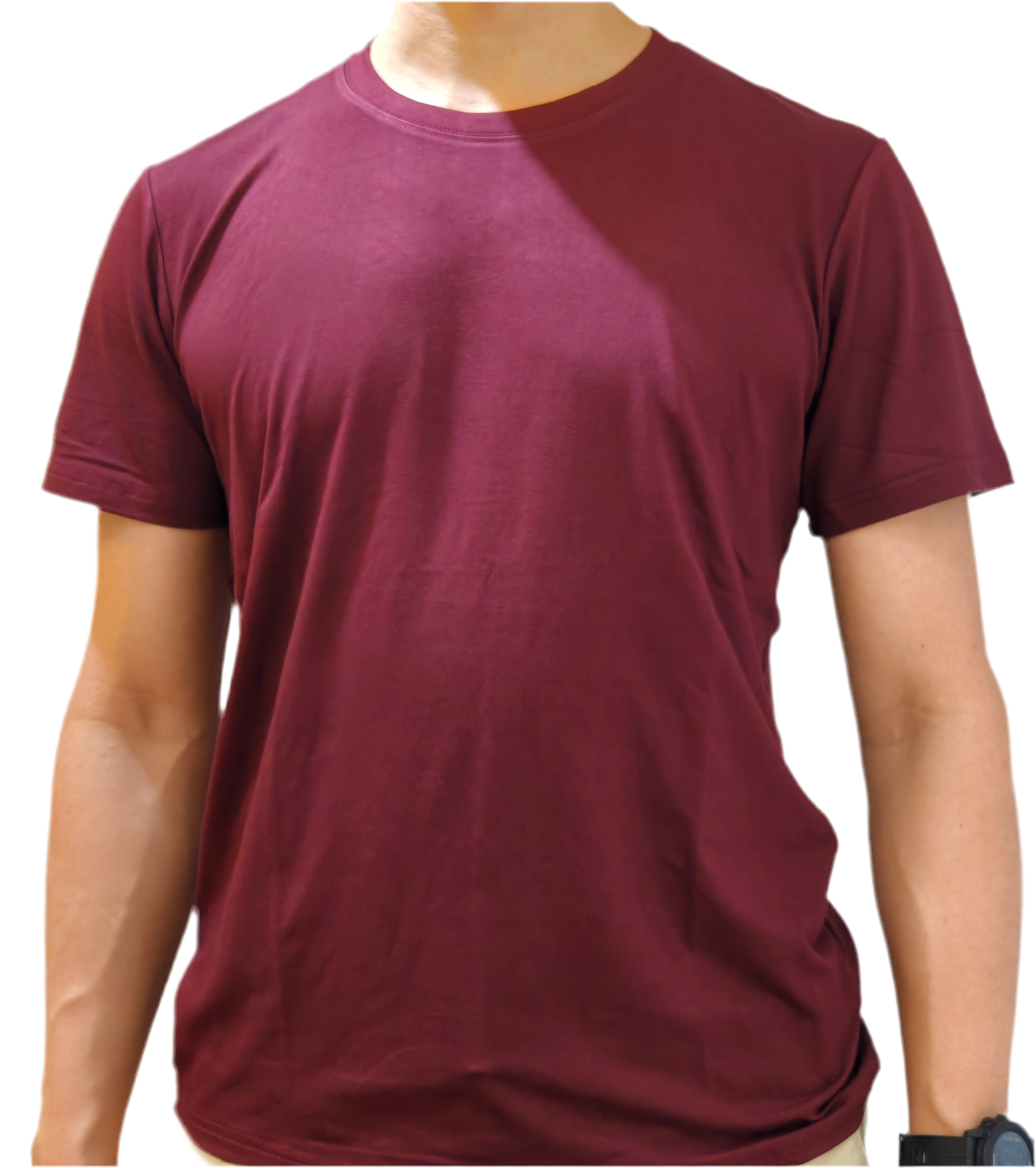 Unisex T in Bordeaux (male model) 