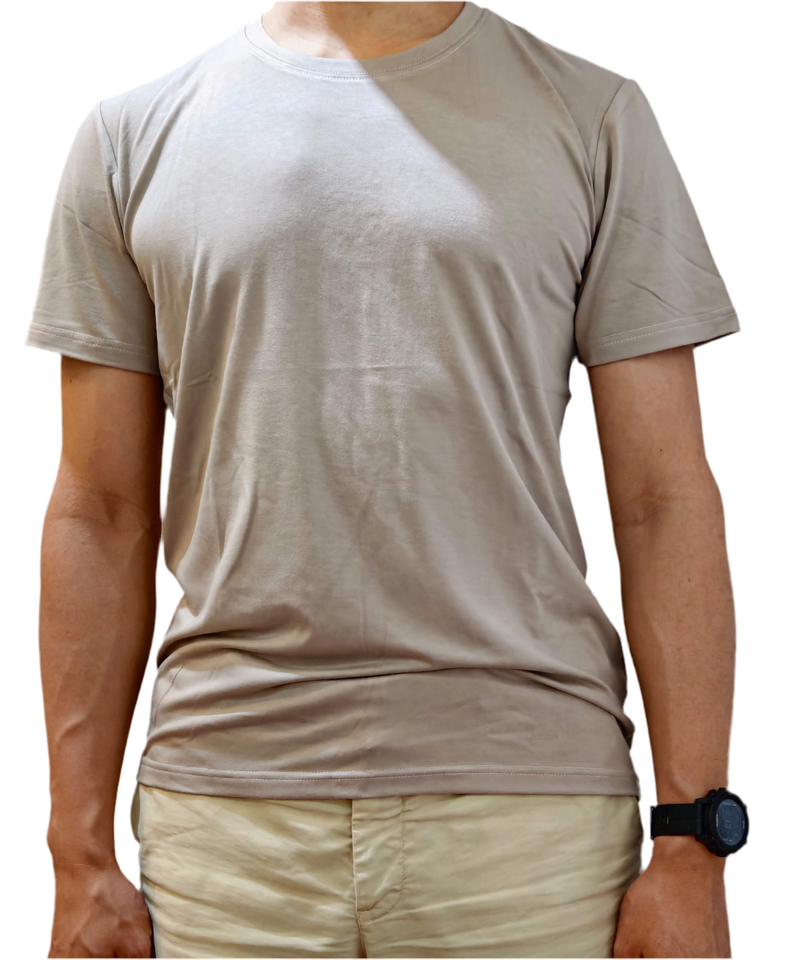 Unisex T in biscuit (male model) 