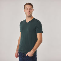 Bamboo Men's V Neck T-shirt