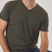 Bamboo Mens V Neck T-shirt